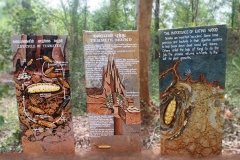 Termite