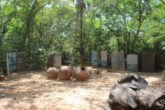 Pitchandikulam-forest-9