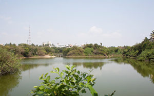 Adyar Eco Park