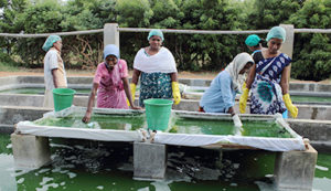 Rural Women’s Theatre Workshop