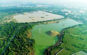 Restoration of twin lake, Siruseri