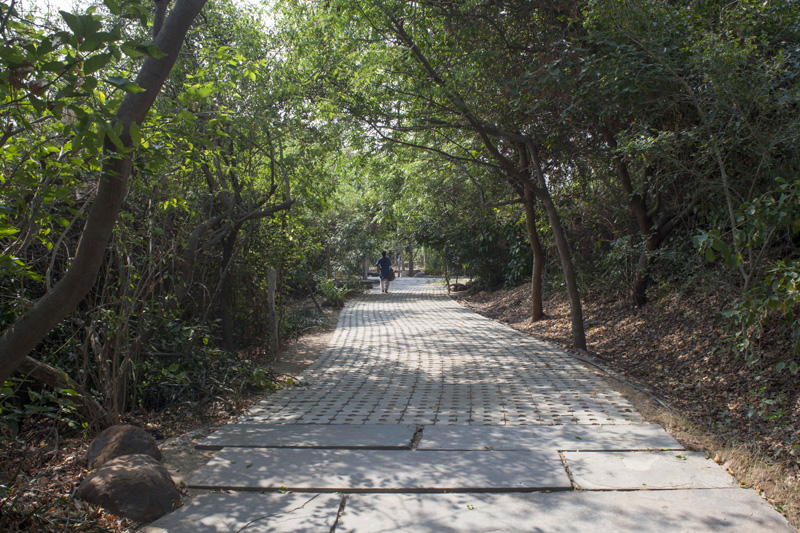 adyar_ecopark_05