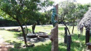 adyar_ecopark_09 (2)