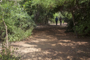 adyar_ecopark_09