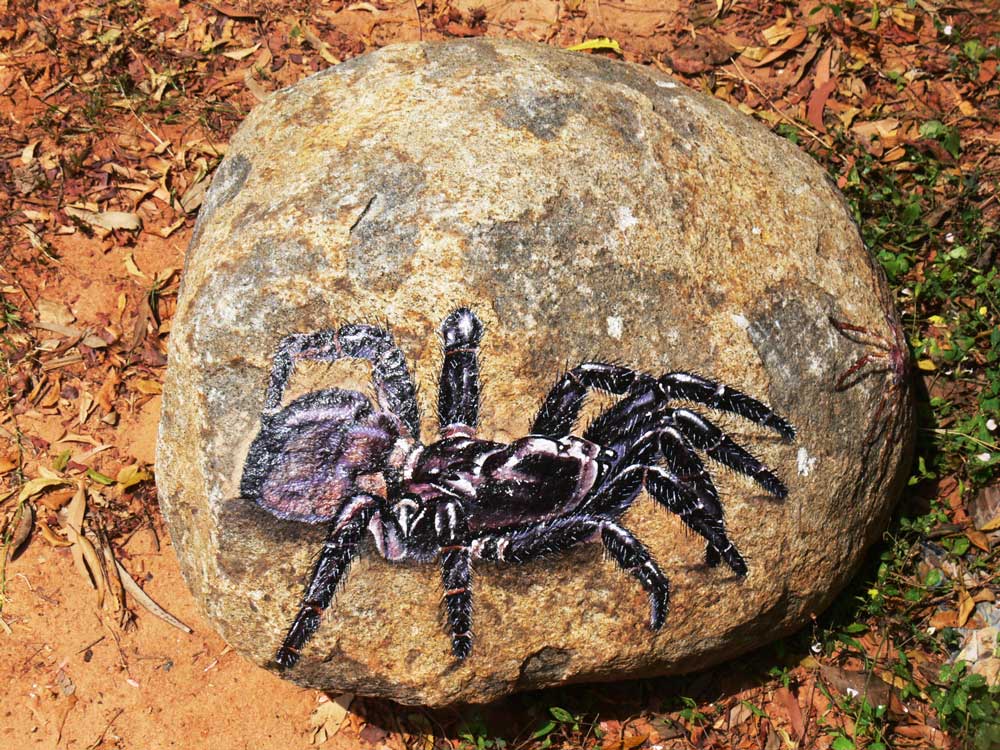 Pitchandikulamforest_artworks (3)