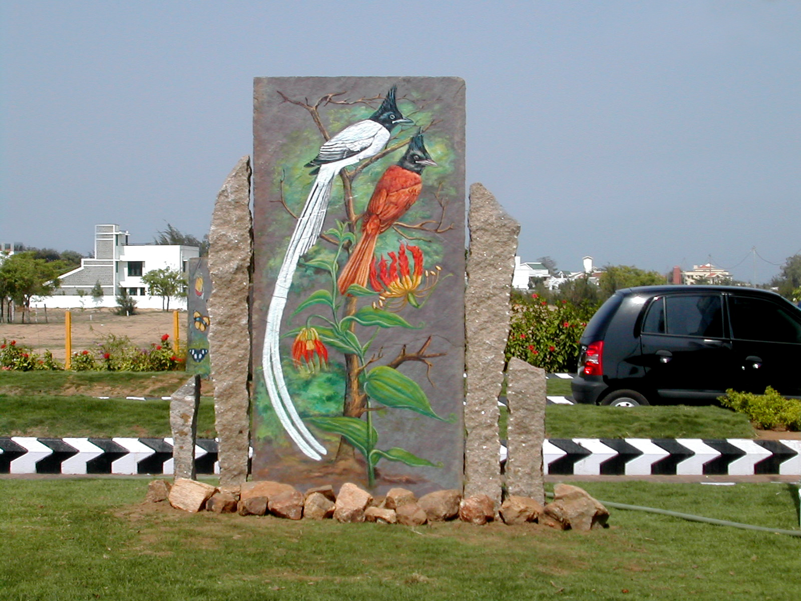 Pitchandikulamforest_artworks (6)