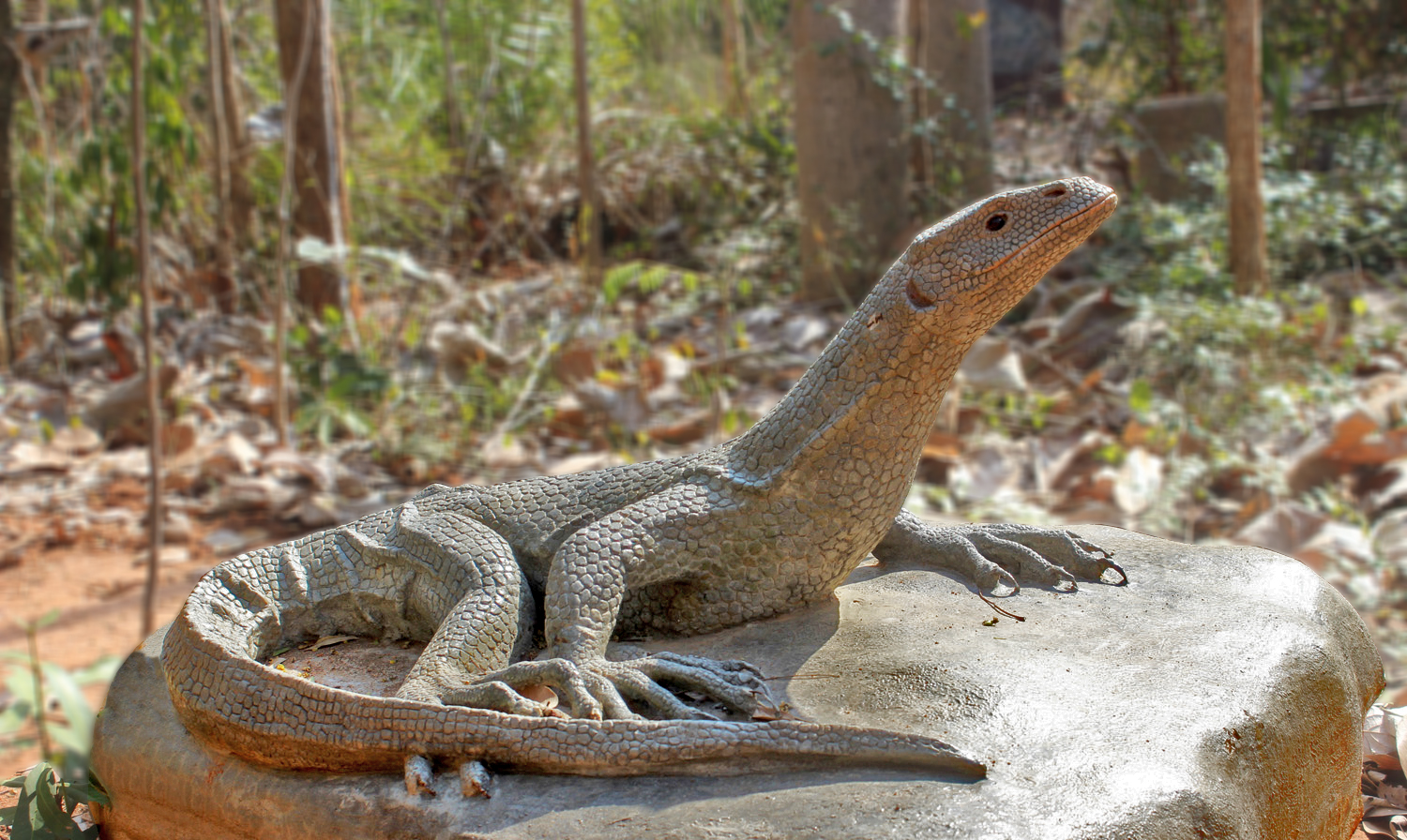 Pitchandikulamforest_artworks (9)