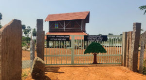 Blue_green_centre_pothur